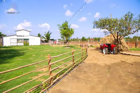 World Farm Educational Farm Experience