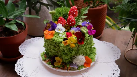 Terrarium Cake Workshop