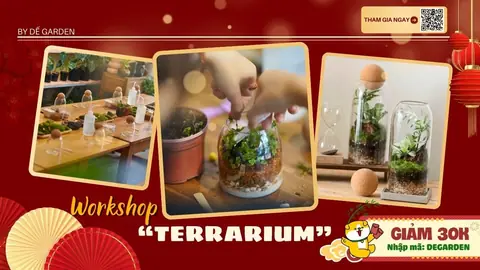 Dế Garden Terrarium Workshop