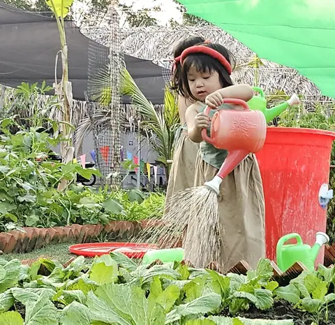 Pro Farm One-Day Farmer Experience